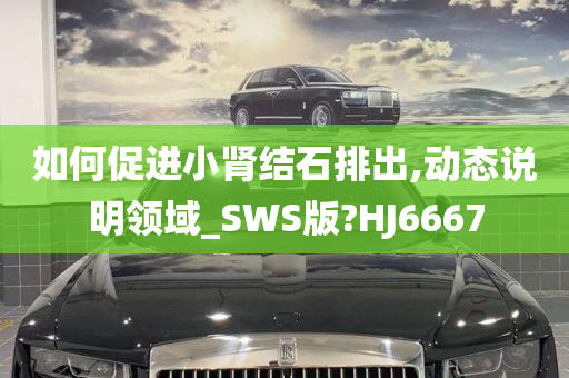 如何促进小肾结石排出,动态说明领域_SWS版?HJ6667