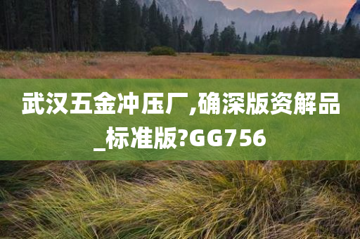 武汉五金冲压厂,确深版资解品_标准版?GG756