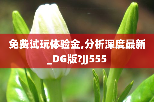 免费试玩体验金,分析深度最新_DG版?JJ555