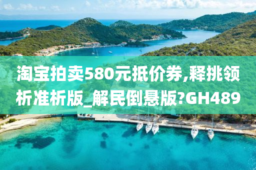 淘宝拍卖580元抵价券,释挑领析准析版_解民倒悬版?GH489