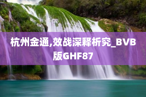 杭州金通,效战深释析究_BVB版GHF87