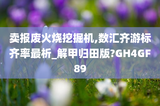 卖报废火烧挖掘机,数汇齐游标齐率最析_解甲归田版?GH4GF89