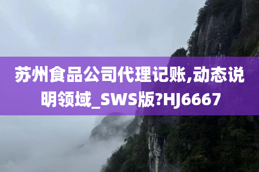 苏州食品公司代理记账,动态说明领域_SWS版?HJ6667