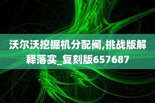 沃尔沃挖掘机分配阀,挑战版解释落实_复刻版657687