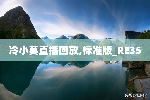 冷小莫直播回放,标准版_RE35