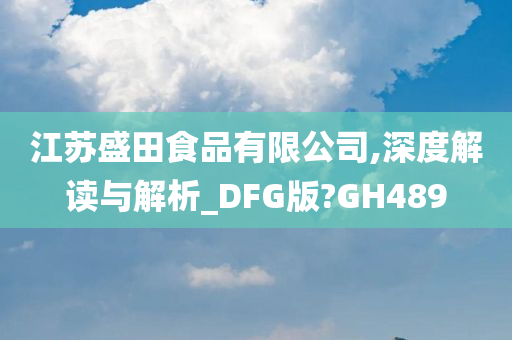 江苏盛田食品有限公司,深度解读与解析_DFG版?GH489