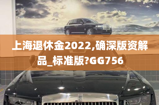 上海退休金2022,确深版资解品_标准版?GG756