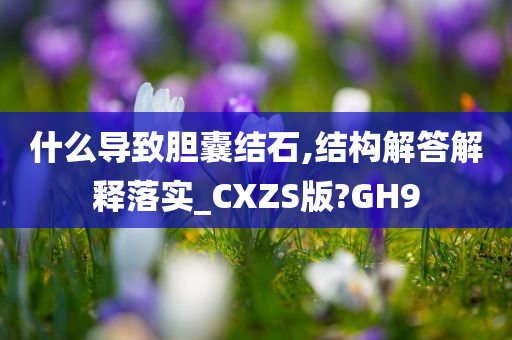 什么导致胆囊结石,结构解答解释落实_CXZS版?GH9