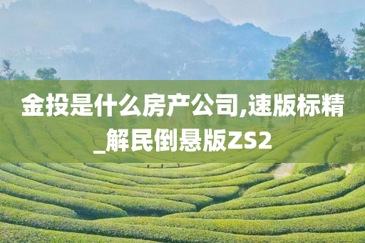 金投是什么房产公司,速版标精_解民倒悬版ZS2