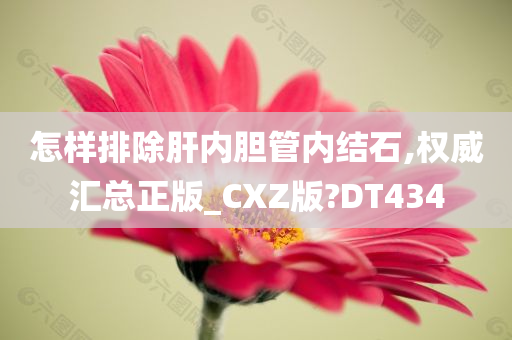 怎样排除肝内胆管内结石,权威汇总正版_CXZ版?DT434