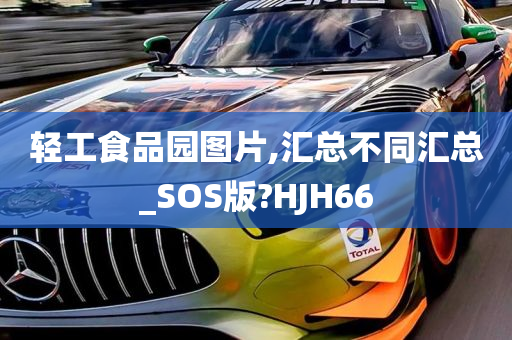 轻工食品园图片,汇总不同汇总_SOS版?HJH66