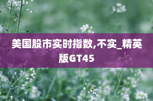 美国股市实时指数,不实_精英版GT45