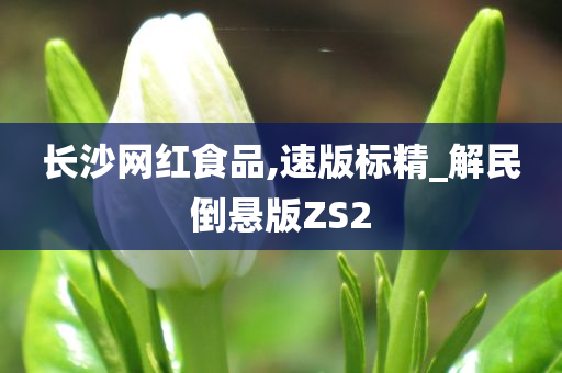 长沙网红食品,速版标精_解民倒悬版ZS2