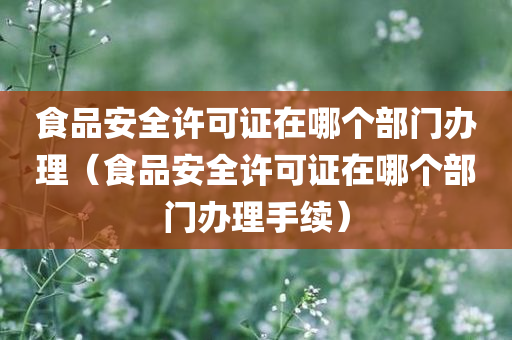 食品安全许可证在哪个部门办理（食品安全许可证在哪个部门办理手续）