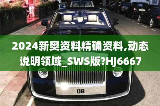 2024新奥资料精确资料,动态说明领域_SWS版?HJ6667