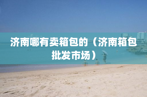 济南哪有卖箱包的（济南箱包批发市场）