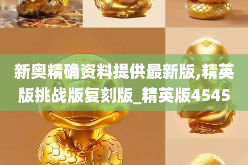 新奥精确资料提供最新版,精英版挑战版复刻版_精英版4545