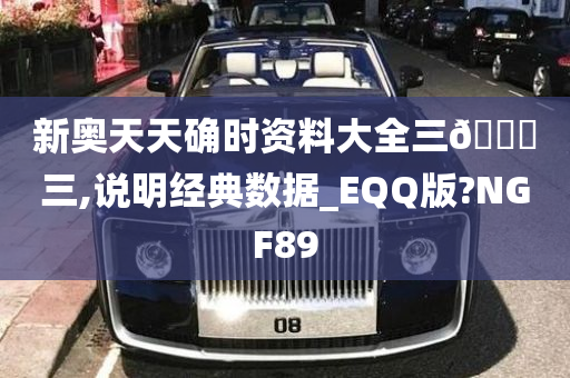 新奥天天确时资料大全三🀄三,说明经典数据_EQQ版?NGF89