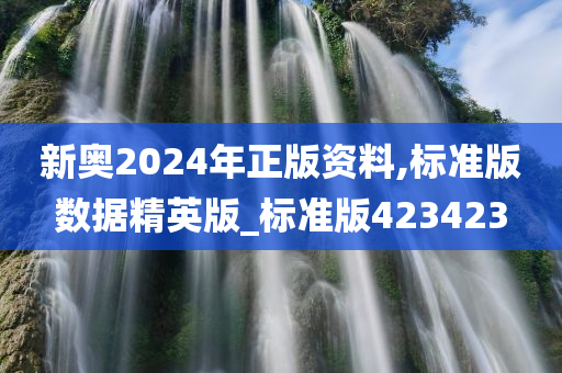 新奥2024年正版资料,标准版数据精英版_标准版423423