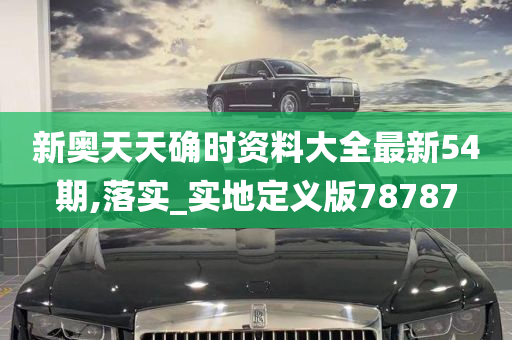 新奥天天确时资料大全最新54期,落实_实地定义版78787