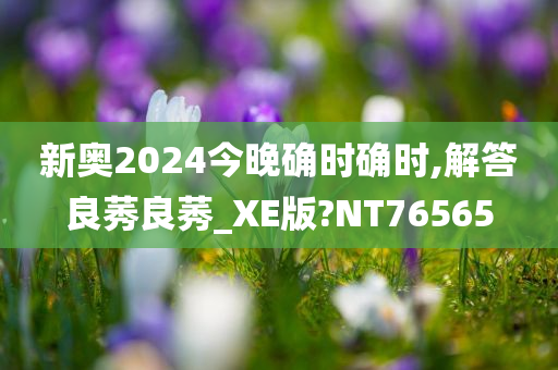 新奥2024今晚确时确时,解答良莠良莠_XE版?NT76565