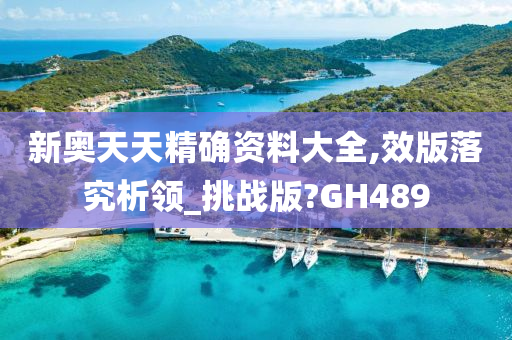 新奥天天精确资料大全,效版落究析领_挑战版?GH489