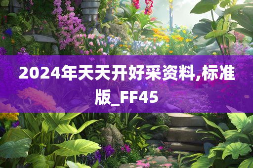 2024年天天开好采资料,标准版_FF45