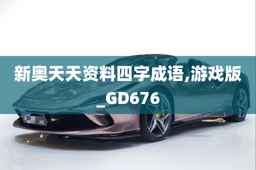 新奥天天资料四字成语,游戏版_GD676