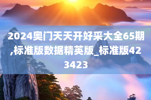 2024奥门天天开好采大全65期,标准版数据精英版_标准版423423