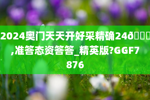 2024奥门天天开好采精确24🐎,准答态资答答_精英版?GGF7876