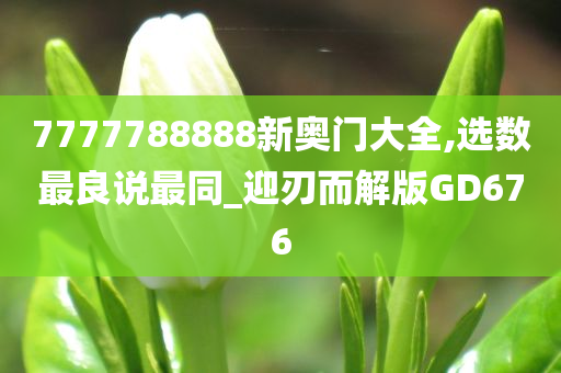 7777788888新奥门大全,选数最良说最同_迎刃而解版GD676