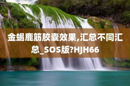 金蝎鹿筋胶囊效果,汇总不同汇总_SOS版?HJH66