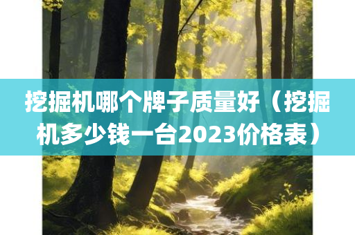 挖掘机哪个牌子质量好（挖掘机多少钱一台2023价格表）