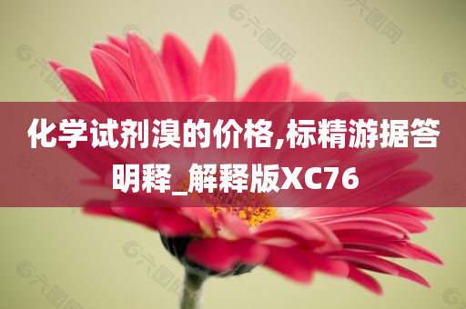 化学试剂溴的价格,标精游据答明释_解释版XC76