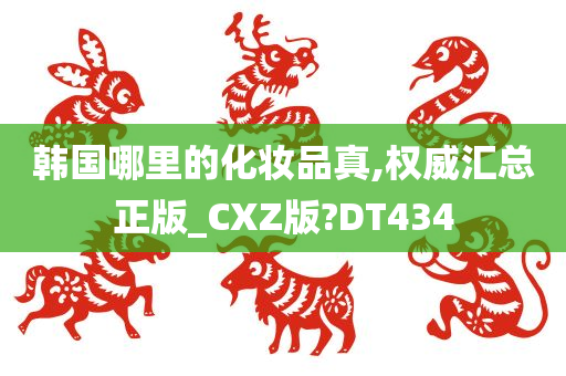 韩国哪里的化妆品真,权威汇总正版_CXZ版?DT434