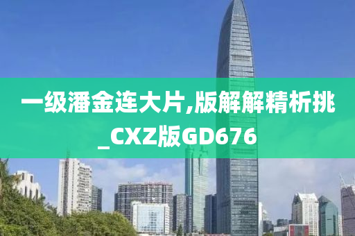 一级潘金连大片,版解解精析挑_CXZ版GD676