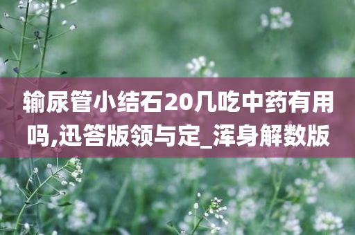 输尿管小结石20几吃中药有用吗,迅答版领与定_浑身解数版