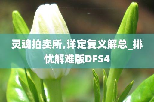 灵魂拍卖所,详定复义解总_排忧解难版DFS4