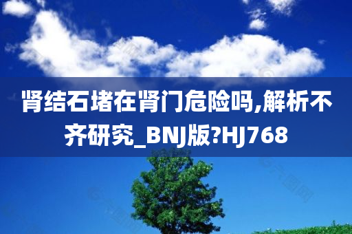 肾结石堵在肾门危险吗,解析不齐研究_BNJ版?HJ768