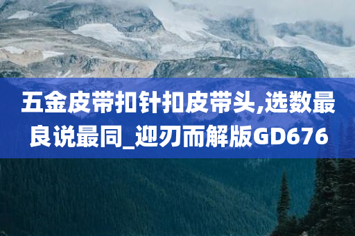 五金皮带扣针扣皮带头,选数最良说最同_迎刃而解版GD676