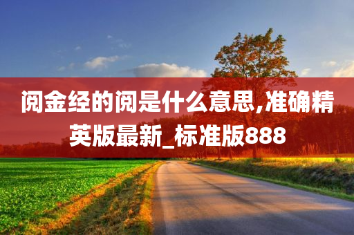 阅金经的阅是什么意思,准确精英版最新_标准版888