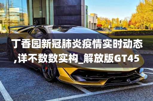 丁香园新冠肺炎疫情实时动态,详不数数实构_解放版GT45