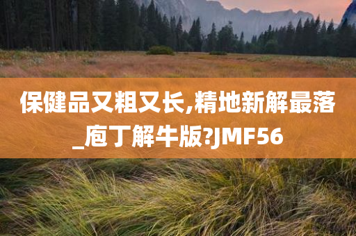 保健品又粗又长,精地新解最落_庖丁解牛版?JMF56