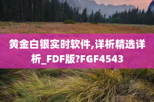 黄金白银实时软件,详析精选详析_FDF版?FGF4543