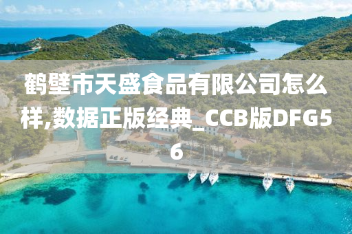 鹤壁市天盛食品有限公司怎么样,数据正版经典_CCB版DFG56