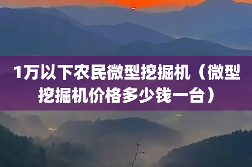 1万以下农民微型挖掘机（微型挖掘机价格多少钱一台）