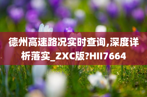 德州高速路况实时查询,深度详析落实_ZXC版?HII7664