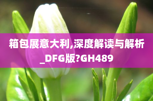 箱包展意大利,深度解读与解析_DFG版?GH489