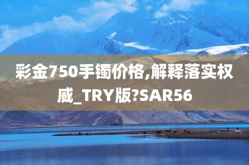 彩金750手镯价格,解释落实权威_TRY版?SAR56