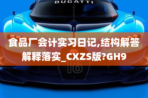 食品厂会计实习日记,结构解答解释落实_CXZS版?GH9